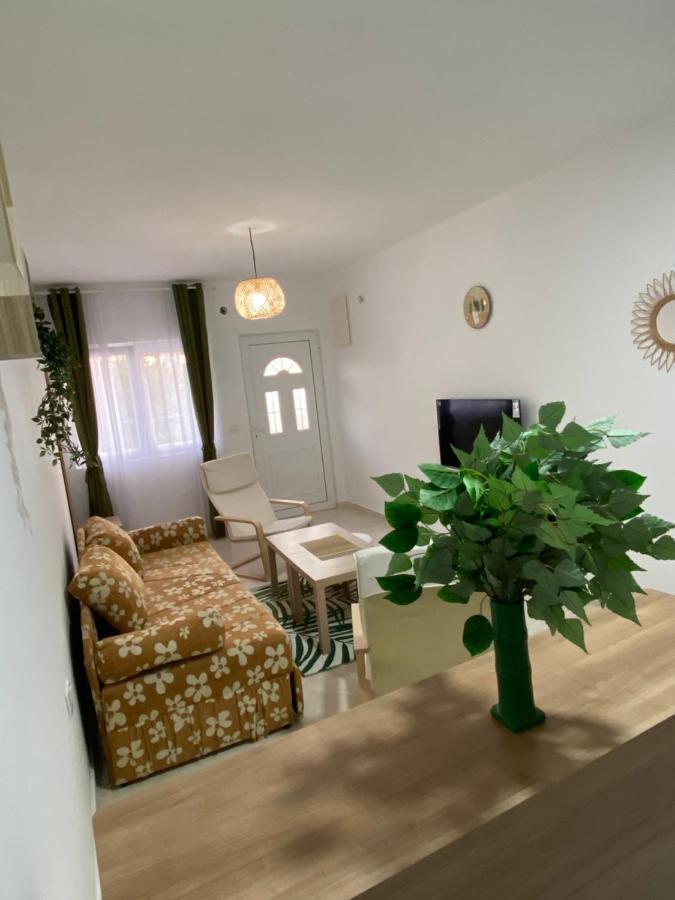 Kotor Apartman Green Sailor Екстериор снимка
